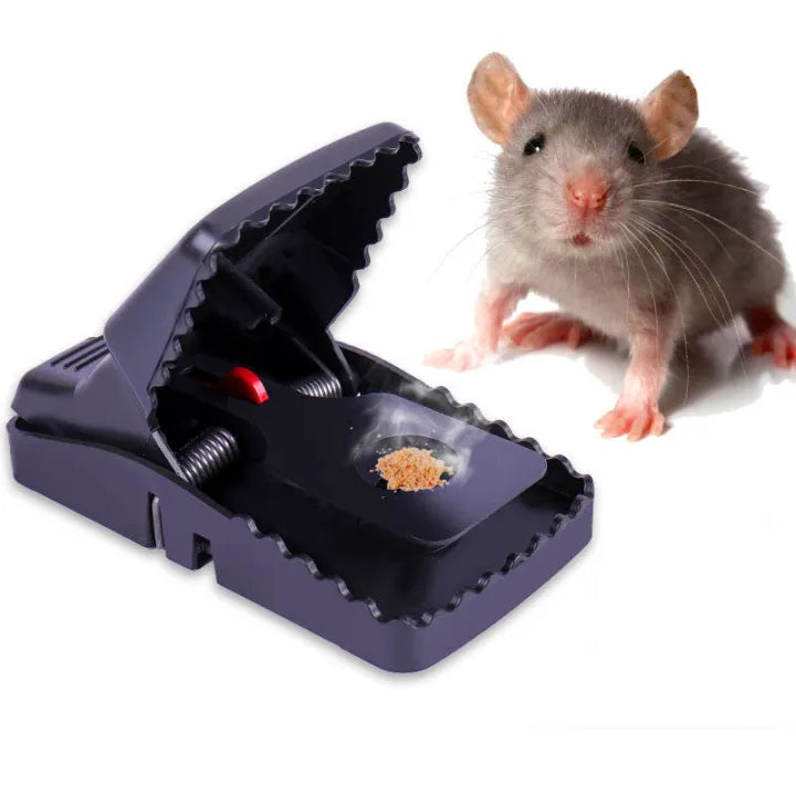 Mousetrap Master