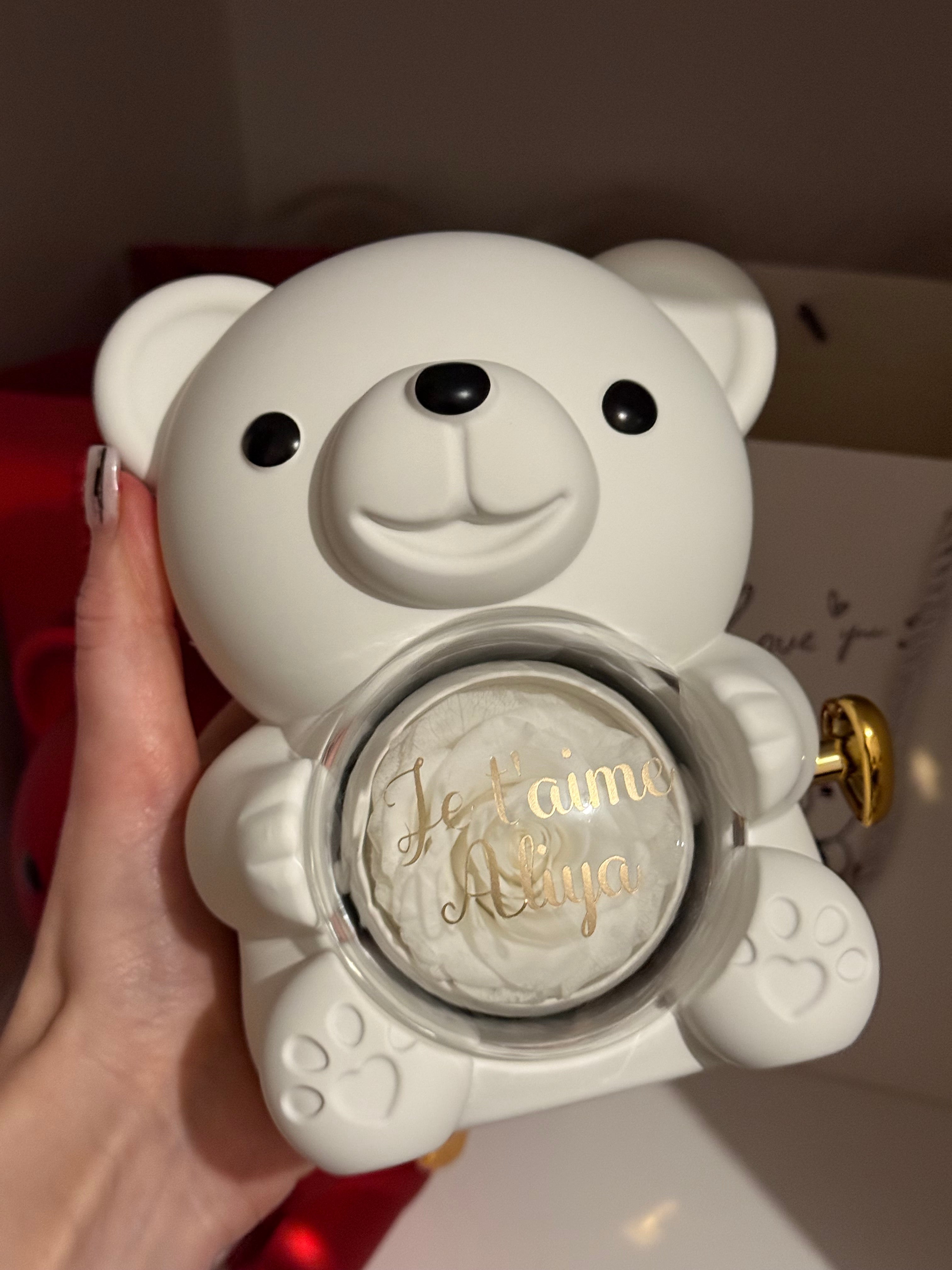 Nounours Éternel: L'Ours en Rose Stabilisée qui Ne Fane Jamais-SE