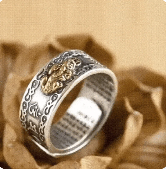 Bague porte bonheur, de richesse et de protection pixiu