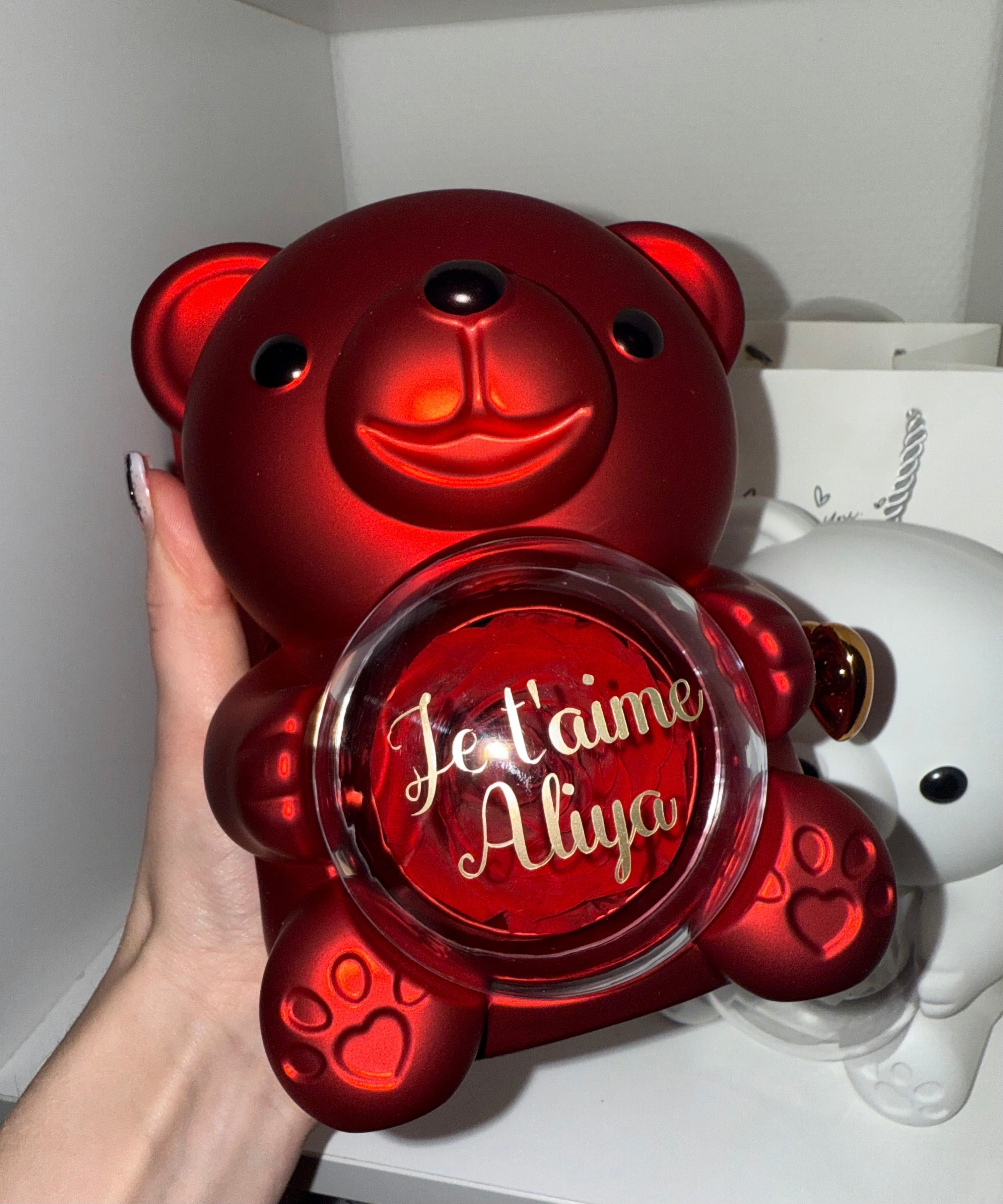 Nounours Éternel: L'Ours en Rose Stabilisée qui Ne Fane Jamais-SE