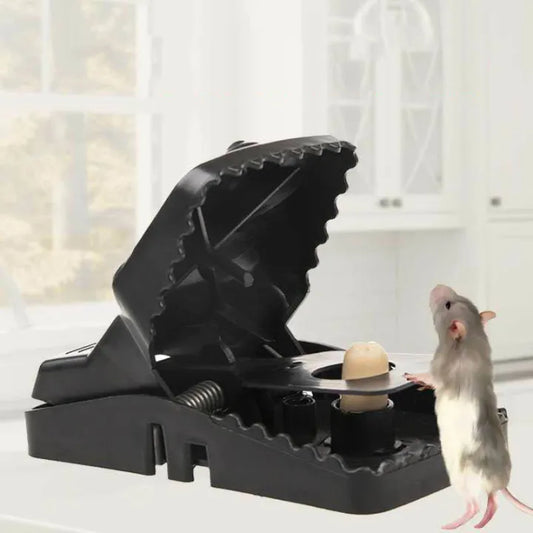 Mousetrap Master